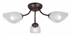 Потолочная люстра Vitaluce V3184 V3404/3PL в Нягани - nyagan.mebel24.online | фото
