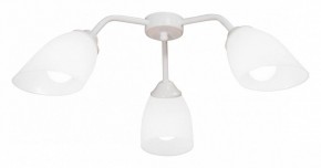 Потолочная люстра Vitaluce V31950 V31950/3PL в Нягани - nyagan.mebel24.online | фото