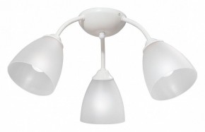 Потолочная люстра Vitaluce V3737 V3737-0/3PL в Нягани - nyagan.mebel24.online | фото