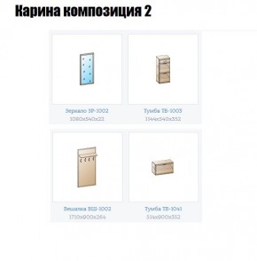 Прихожая Карина (модульная) в Нягани - nyagan.mebel24.online | фото 6