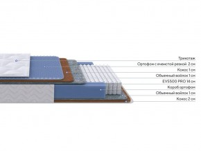 PROxSON Матрас Active Duo M/F (Ткань Трикотаж Эко) 160x195 в Нягани - nyagan.mebel24.online | фото 2