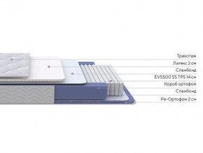 PROxSON Матрас Active Duo S/F (Ткань Трикотаж Эко) 120x200 в Нягани - nyagan.mebel24.online | фото 2