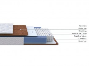 PROxSON Матрас Active F Roll (Ткань Трикотаж Эко) 120x200 в Нягани - nyagan.mebel24.online | фото 2