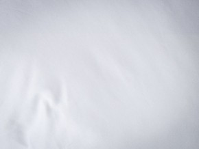 PROxSON Подушка Terra Duo (Сатин Ткань) 50x70 в Нягани - nyagan.mebel24.online | фото 9
