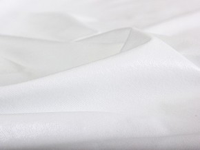 PROxSON Защитный чехол Aqua Save M (Ткань влагостойкая Terry Cloth) 160x195 в Нягани - nyagan.mebel24.online | фото 6