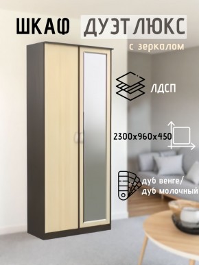 Шкаф 2-х створчатый Дуэт Люкс с зеркалом в Нягани - nyagan.mebel24.online | фото