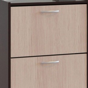 Шкаф для обуви ТО-24 в Нягани - nyagan.mebel24.online | фото 4
