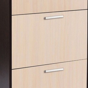 Шкаф для обуви УК-4 в Нягани - nyagan.mebel24.online | фото 2