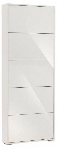 Шкаф для обуви Viva-5S в Нягани - nyagan.mebel24.online | фото