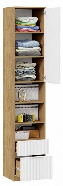 Шкаф комбинированный Хилтон Исп. 2 в Нягани - nyagan.mebel24.online | фото 5