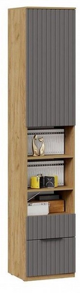 Шкаф комбинированный Хилтон Исп. 2 в Нягани - nyagan.mebel24.online | фото 4