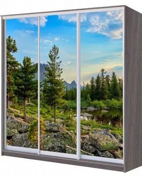 Шкаф-купе ХИТ 22-4-20/2-777 ПРИРОДА в Нягани - nyagan.mebel24.online | фото