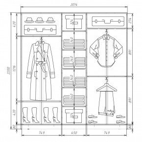 Шкаф-купе ХИТ 22-4-20-555 (420) в Нягани - nyagan.mebel24.online | фото 2