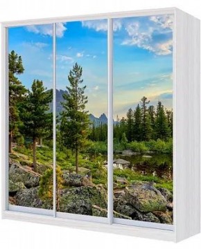 Шкаф-купе ХИТ 22-4-20-777 ПРИРОДА в Нягани - nyagan.mebel24.online | фото