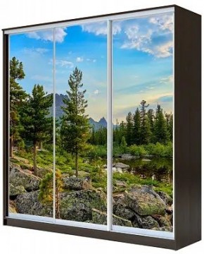 Шкаф-купе ХИТ 23-20/2-777 ПРИРОДА в Нягани - nyagan.mebel24.online | фото