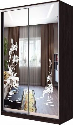 Шкаф-купе ХИТ 23-4-12-66 ЦАПЛИ в Нягани - nyagan.mebel24.online | фото