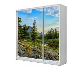 Шкаф-купе ХИТ 23-4-20-777 (420) в Нягани - nyagan.mebel24.online | фото 1