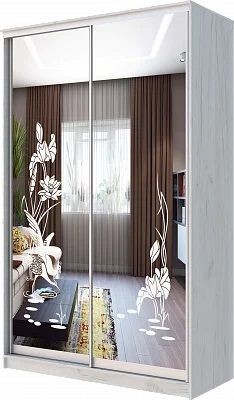 Шкаф-купе ХИТ 24-14-66 ЦАПЛИ в Нягани - nyagan.mebel24.online | фото
