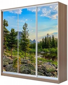 Шкаф-купе ХИТ 24-20/2-777 ПРИРОДА в Нягани - nyagan.mebel24.online | фото