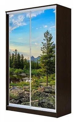 Шкаф-купе ХИТ 24-4-14-77 ПРИРОДА в Нягани - nyagan.mebel24.online | фото