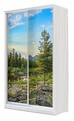 Шкаф-купе ХИТ 24-4-15-77 ПРИРОДА в Нягани - nyagan.mebel24.online | фото