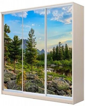Шкаф-купе ХИТ 24-4-20-777 ПРИРОДА в Нягани - nyagan.mebel24.online | фото