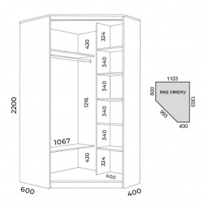 Шкаф-купе ХИТ-У-R-22-64-66 в Нягани - nyagan.mebel24.online | фото 3