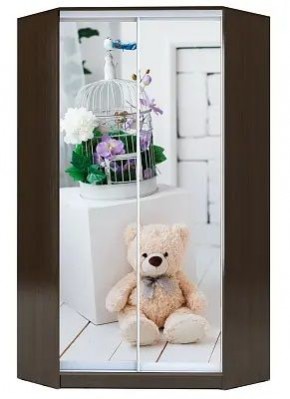 Шкаф-купе ХИТ-У-R-22-64-77 МИШКА В ИНТЕРЬЕРЕ в Нягани - nyagan.mebel24.online | фото