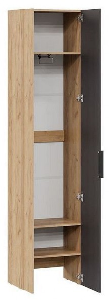 Шкаф платяной Асти в Нягани - nyagan.mebel24.online | фото 2