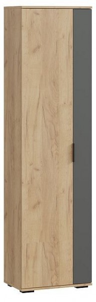 Шкаф платяной Эвита в Нягани - nyagan.mebel24.online | фото