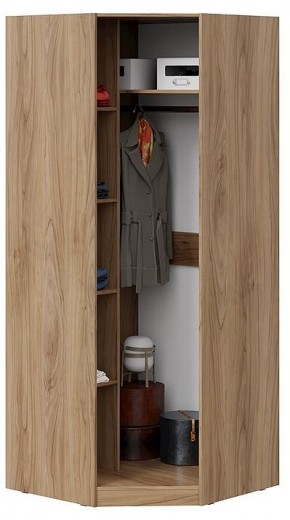 Шкаф платяной Глосс СМ-319.07.312 в Нягани - nyagan.mebel24.online | фото 3