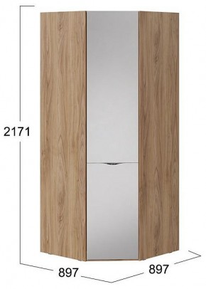 Шкаф платяной Глосс СМ-319.07.312 в Нягани - nyagan.mebel24.online | фото 4