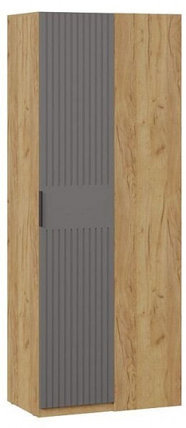 Шкаф платяной Хилтон в Нягани - nyagan.mebel24.online | фото