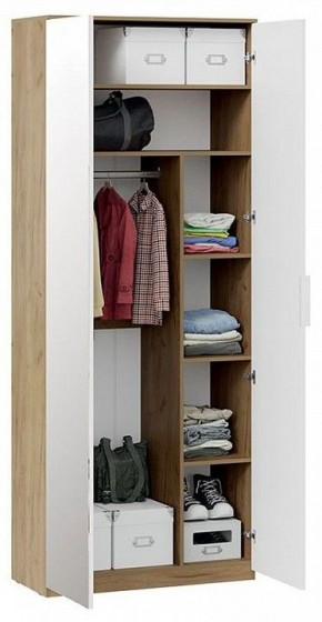 Шкаф платяной Хилтон Исп. 2.1 в Нягани - nyagan.mebel24.online | фото 4