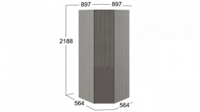 Шкаф платяной Либерти СМ-297.07.033 в Нягани - nyagan.mebel24.online | фото 3