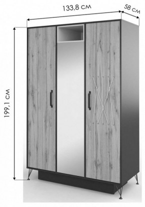 Шкаф платяной Нобира в Нягани - nyagan.mebel24.online | фото 3
