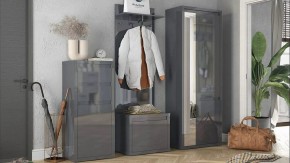 Шкаф платяной Норден в Нягани - nyagan.mebel24.online | фото 3