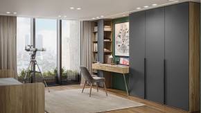 Шкаф платяной Порто СМ-393.07.223 в Нягани - nyagan.mebel24.online | фото 5