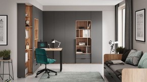 Шкаф платяной Порто СМ-393.07.223 в Нягани - nyagan.mebel24.online | фото 9