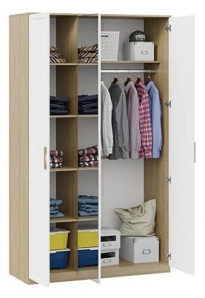 Шкаф платяной Сэнди в Нягани - nyagan.mebel24.online | фото 3