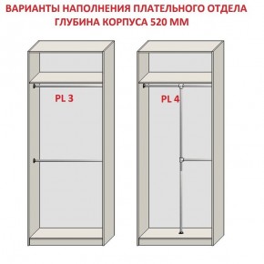 Шкаф распашной серия «ЗЕВС» (PL3/С1/PL2) в Нягани - nyagan.mebel24.online | фото 10