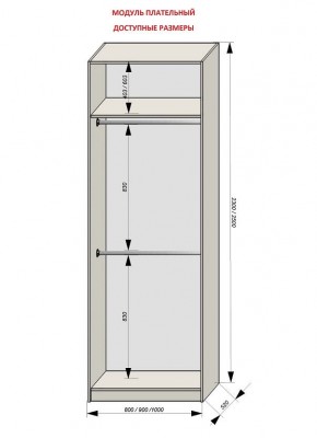 Шкаф распашной серия «ЗЕВС» (PL3/С1/PL2) в Нягани - nyagan.mebel24.online | фото 12