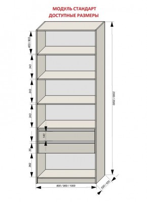 Шкаф распашной серия «ЗЕВС» (PL3/С1/PL2) в Нягани - nyagan.mebel24.online | фото 13