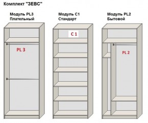 Шкаф распашной серия «ЗЕВС» (PL3/С1/PL2) в Нягани - nyagan.mebel24.online | фото 2