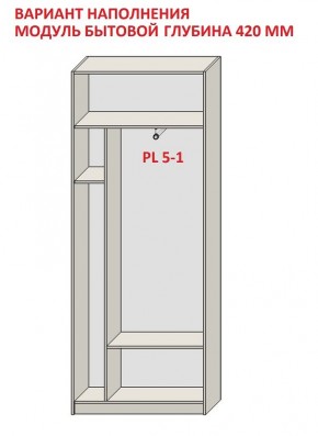 Шкаф распашной серия «ЗЕВС» (PL3/С1/PL2) в Нягани - nyagan.mebel24.online | фото 4