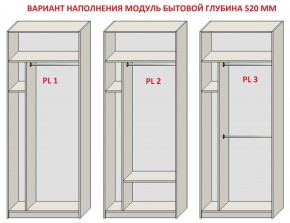 Шкаф распашной серия «ЗЕВС» (PL3/С1/PL2) в Нягани - nyagan.mebel24.online | фото 5