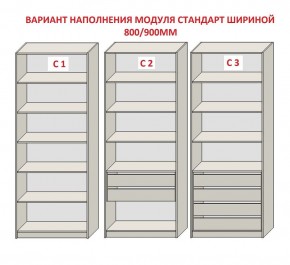 Шкаф распашной серия «ЗЕВС» (PL3/С1/PL2) в Нягани - nyagan.mebel24.online | фото 6