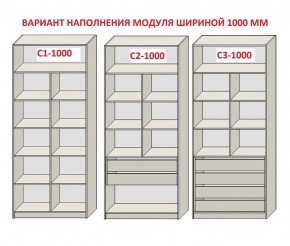 Шкаф распашной серия «ЗЕВС» (PL3/С1/PL2) в Нягани - nyagan.mebel24.online | фото 7