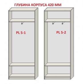 Шкаф распашной серия «ЗЕВС» (PL3/С1/PL2) в Нягани - nyagan.mebel24.online | фото 8