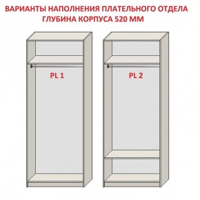 Шкаф распашной серия «ЗЕВС» (PL3/С1/PL2) в Нягани - nyagan.mebel24.online | фото 9